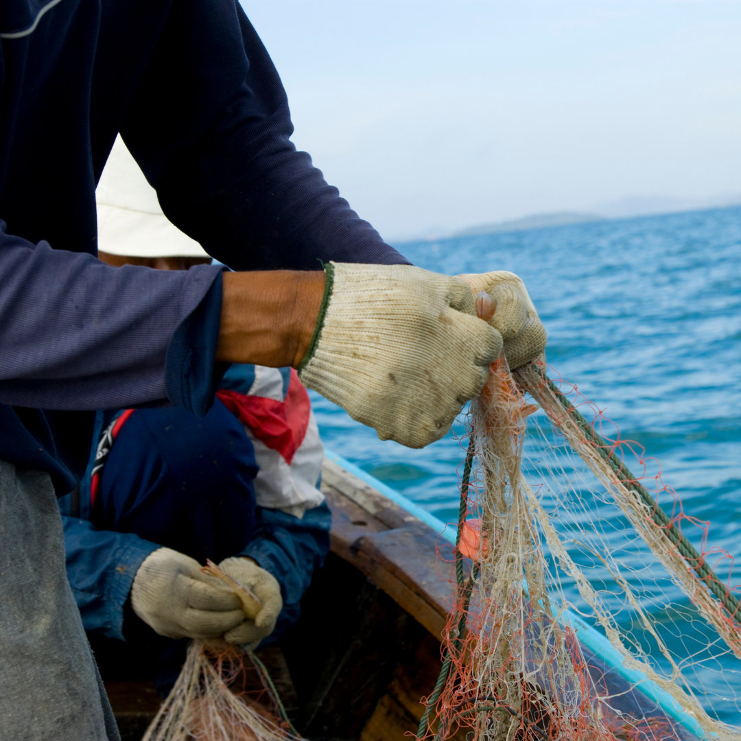 L’Impact des Nouvelles Réglementations sur la Pêche Hauturière au Maroc.