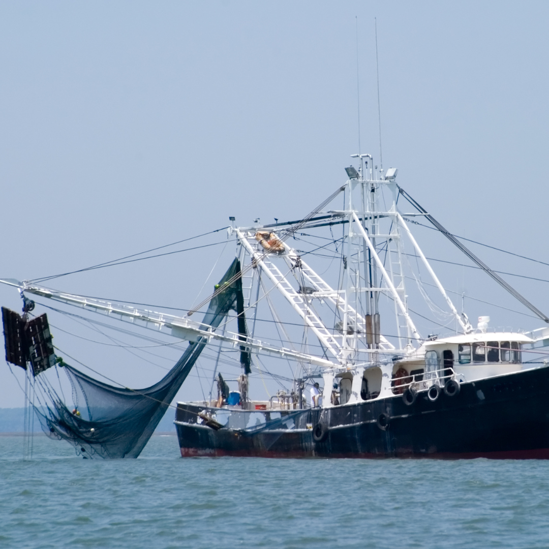 L’Importance des Partenariats Stratégiques dans le Secteur de la Pêche Hauturière